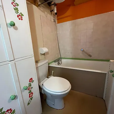 Montagnard Avec Wifi A 100m Des Pistes De Pra Loup 1600 - Fr-1-165a-64 דירה Uvernet-Fours